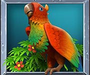 Parrot